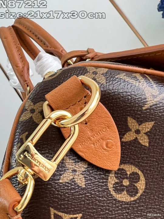 30 Speedy Soft Vuitton Boho Louis 0105